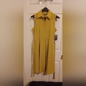 Sharagano New York Dress, Lime Matcha color